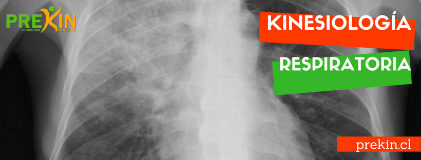 kinesiología respiratoria