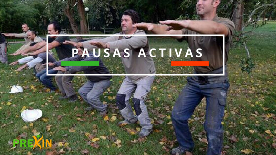 pausas activas